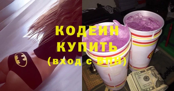 ПСИЛОЦИБИНОВЫЕ ГРИБЫ Вязники