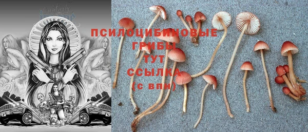 каннабис Вяземский