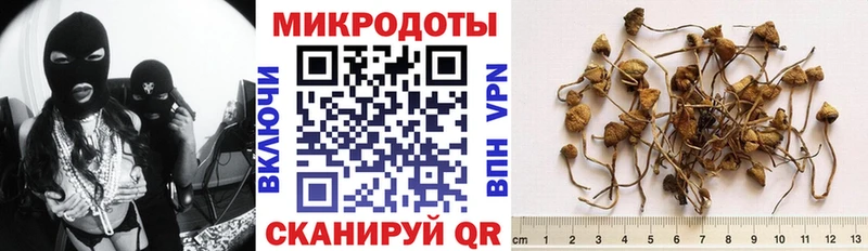 shop формула  даркнет сайт  Златоуст  Псилоцибиновые грибы GOLDEN TEACHER 