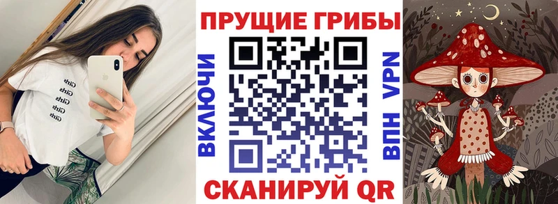 Псилоцибиновые грибы прущие грибы Златоуст
